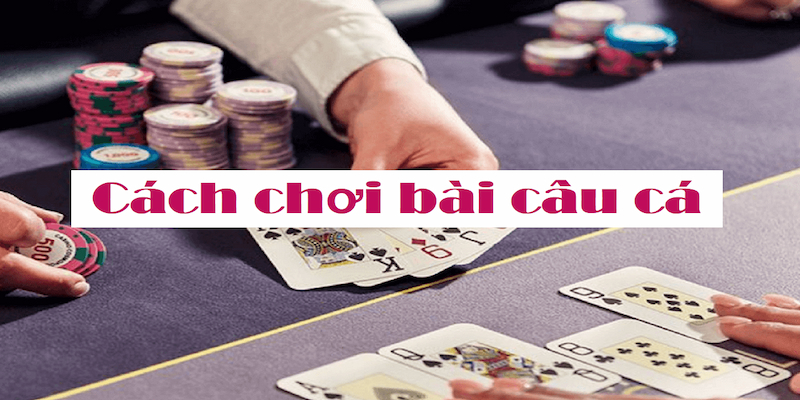 Cùng bạn bè câu những lá bài may mắn 